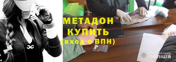 сатива Дмитровск