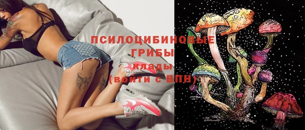 сатива Дмитровск