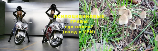 кокс Дмитриев