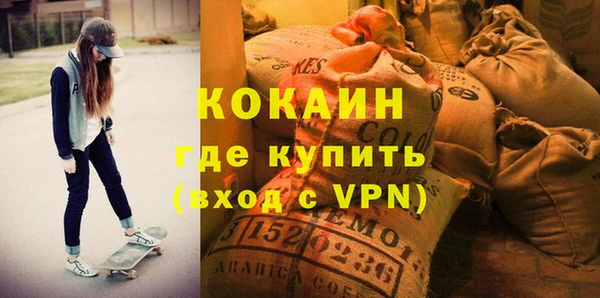 сатива Дмитровск