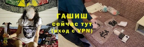 сатива Дмитровск