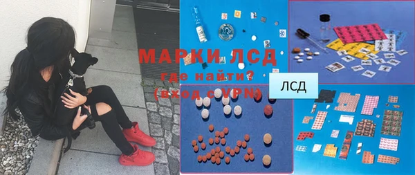 сатива Дмитровск