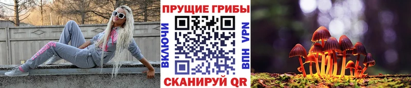 Псилоцибиновые грибы мухоморы Каргополь
