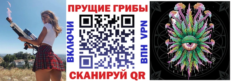 площадка какой сайт  Каргополь  Галлюциногенные грибы GOLDEN TEACHER  где можно купить наркотик 